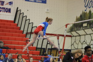 park view gymnastics