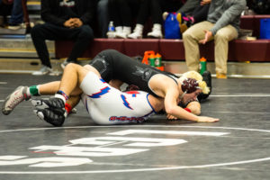 dominion-park-view-wrestling