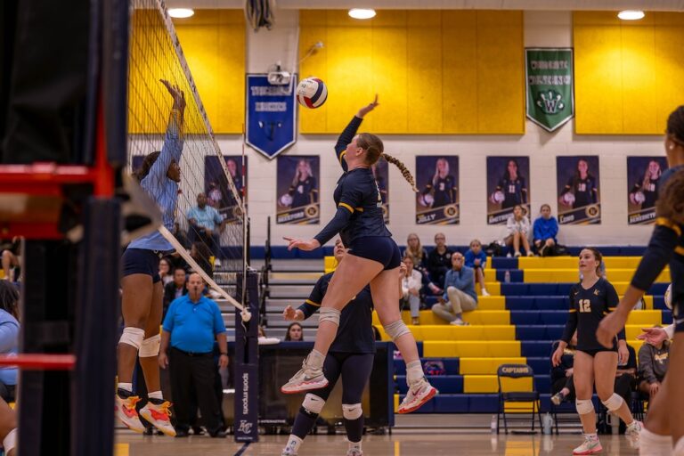 Brooklyn Benedicto Loudoun County Volleyball