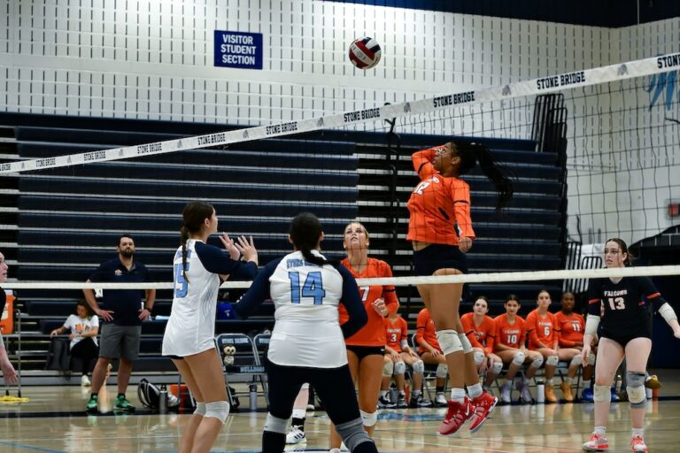 Naomi Grundy Briar Woods Volleyball