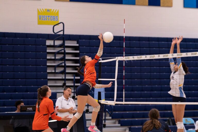 Allie Bowen Briar Woods Volleyball