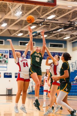Payton Mandichak Loudoun Valley Basketball