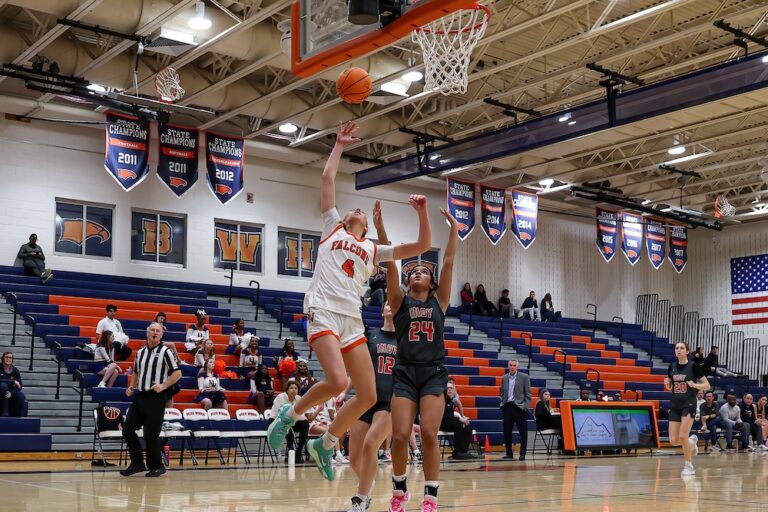 Nina Stummer Briar Woods Basketball