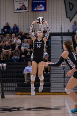 Ingrid Smith Dominion Volleyball