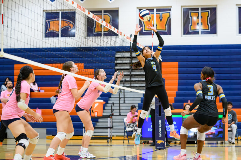 Nisha Gupta Lightridge Volleyball