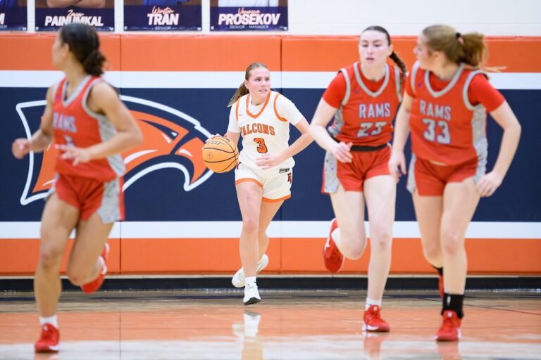 Sadie Auch Briar Woods Basketball