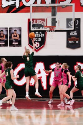 Maggie Mills Loudoun Valley Basketball