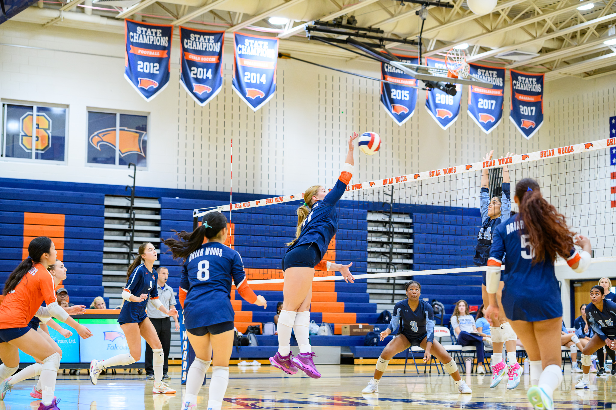 Girls Volleyball: Briar Woods Defeats Stone Bridge in Potomac District Match