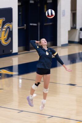 Brooke LaRue Loudoun County Girls Volleyball